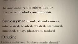 Inebriated Definition Stock Footage