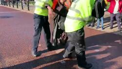 Just Stop Oil protesters searched and detained after blocking The Mall Instructional Video