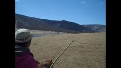 Genes of Genghis Khan - Stuff That I Find Interesting Instructional Video