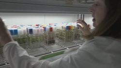 The U.S. National Plant Germplasm System - An Overview Instructional Video