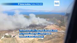 Europe scorched by heatwaves and wildfires as temperatures soar past 40°C in several nations News Clip