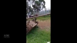 Manitoba's Congolose community rally in solidarity with co-nationals killed in conflict escalation News Clip