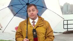 Nearly a quarter of all people in Canada are immigrants: census News Clip