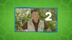 What Exactly Are Chuckwalla Lizards and Why Are They So Important? Instructional Video