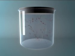 Solids, Liquids, and Gases: Summing Up Instructional Video