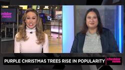 Purple Christmas Trees Rise In Popularity News Clip