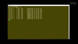 How to use the split command: 2-Minute Linux Tips Instructional Video