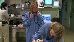Animal Care Specialists Detail What They Look For in a Newborn Panda Cub Instructional Video
