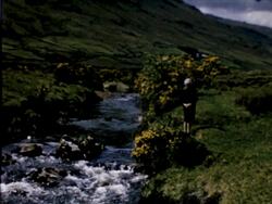 Ireland Countryside Stock Footage