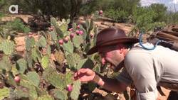The Gila Monster - AMAZING Venomous Lizard Encounter Instructional Video