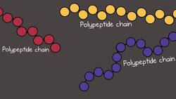 Protein Structure and Folding Instructional Video