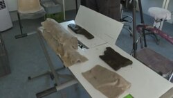 CLEAN : Mysterious 1,300-year-old shipwreck unearthed near Bordeaux News Clip