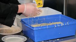 How to Deep-Fry Reese's Peanut Butter Cups Instructional Video