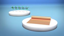 New high-tech band-aids could heal wounds faster Instructional Video