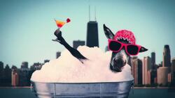 What Makes A State A State? Instructional Video