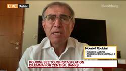 Roubini: See Persistent, Mild Stagflation News Clip