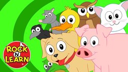 Bow Wow, Says the Dog Instructional Video