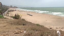 CLEAN : Lebanese report claims many beaches are free of pollution News Clip