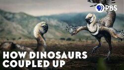 How Dinosaurs Coupled Up Instructional Video