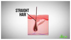 What Makes Your Hair Curl Instructional Video