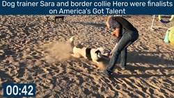 Most Tricks Performed by a Dog in One Minute Instructional Video