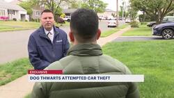 Homeowner: Dog thwarts thieves' attempt to steal $100K BMW from Woodbridge home News Clip