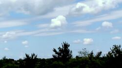 Raptor Characteristics Instructional Video