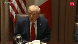 Meloni Ambushed Mid-Presser, Reporter Pulls Out Past Comment In Front Of Trump News Clip