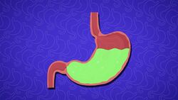 I WONDER - What Does Stomach Acid Do? Instructional Video