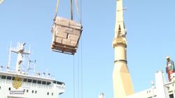 Algeria elections: Unemployment is a key issue for voters News Clip