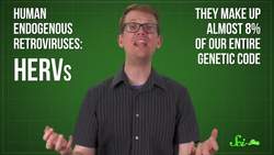 The Viruses That Shaped Humanity Instructional Video