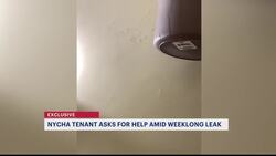 Exclusive: NYCHA tenant says weeklong leak left bathroom soaked at Louis Heaton Pink Houses News Clip