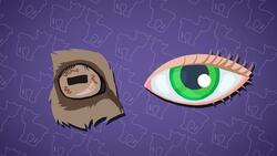 I WONDER - Why Do Goats Have Strange Shaped Eyes? Instructional Video