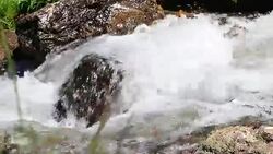 water flowing in a Pyrenean stream Stock Footage