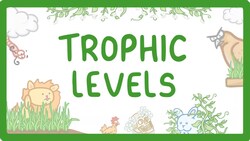 GCSE Biology - Trophic Levels - Producers, Consumers, Herbivores & Carnivores #86 Instructional Video