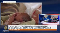 WFP warns of starvation in Sudan and Gaza as aid access blocked, funding drops by 40% News Clip