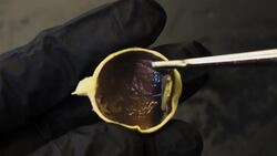 The Coolest Eyeball Video You'll Ever See Instructional Video