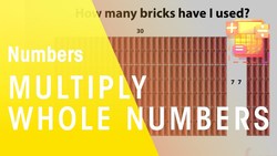 How To Multiply Whole Numbers By A Single Digit Instructional Video