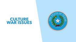 Texas' Controversial Legislative Session: Anti-Abortion, Open Gun Carry & Voter Reform - TLDR News Instructional Video