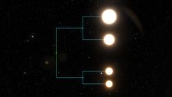 How do planets orbit in multi-star systems? Instructional Video
