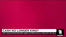 Digital Payment Service Zelle Looks to Close Loopholes News Clip