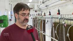 Experts urge caution, but P.E.I. hatchery hopeful for MSX-resistant oyster seed News Clip