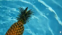 Pineapple Floating In blue Water In Swimming Pool. Healthy Raw Organic Food. Juicy Fruit. Vegetarian, Vegan Nutrition, Vitamins, Diet, summer holidays, vacation concepts. Exotic tropical background Stock Footage