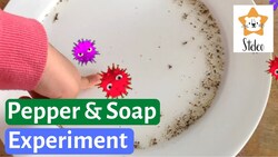 Water and Pepper Experiment Instructional Video