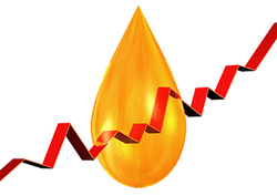 Oil Shocks Instructional Video