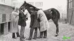 How a Century-Old Procedure Could Help Us Fight COVID-19 Instructional Video