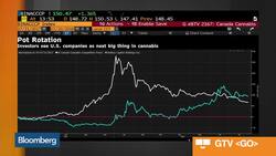 Investors Getting High on U.S.-Focused Pot Stocks News Clip