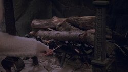 MEDIUM ANGLE OF FIREPLACE WITH LOGS, WOMAN WITH FLEECE SLEEVE COAT HOLDS MATCH IN HAND, LIGHTS LOGS ON FIRE. FLAMES. FIREWOOD. Stock Footage