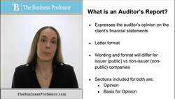 What is an Auditor's Report? Instructional Video