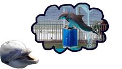 Learned Behaviour Instructional Video